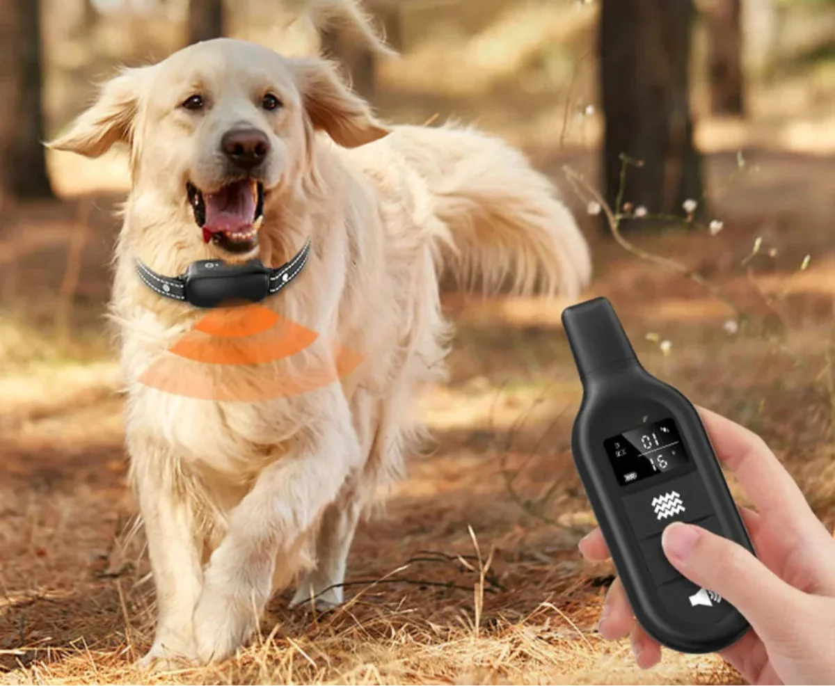 Fjärrstyrt träningshalsband för hund bild 3